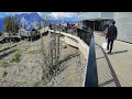 2023.0624 Banff National Park ~ Banff Gondola