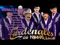 Cardenales De Nuevo León-Music hits review for 2024-Prime Hits Mix-Even