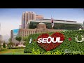 Seoul Vacation Travel Guide | Expedia