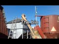 Filling Feeders and topping off the bin