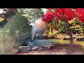 [4K] Colorful Autumn on Nami Island Walking Full Tour 2020 South Korea 강원도 춘천시 남이섬의 아름다운 가을 산책 투어