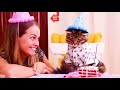 BIRTHDAY KITTEN