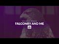 Falconry Basics | Building Trust