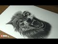 Duke art - drawing a wolf