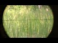 outdoor hunting in the rainy season with a jedoor ready air rifle