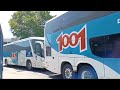 Foi Intenso o Movimento de Ônibus no Terminal Rodoviário Novo Rio