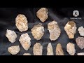 Arrowhead hunting new site discovered rare discovery ancient stone tools