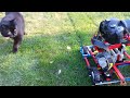 Lego Timelapse Dolly