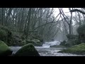 Ghost caught on camera in daylight on a Scottish river.