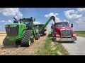 Wheat Harvest 2024 at Crossroad Farms in Indiana