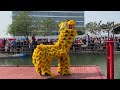 北勝蔡李佛龍獅團《勇闖懸崖顯雄風》High Poles LION DANCE Performance in Guangzhou