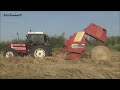 FIATAGRI 100-90 DT + FERABOLI SPRINTER 165 | PRESSING HAY 2k24 |