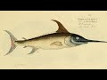 Facts: The Swordfish