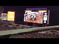 Monster Mutt Ice Freestyle Monster Jam Tampa 2/2/19