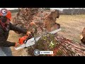 199 Incredible Fastest Big Chainsaw Cutting Tree Machines ▶12