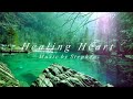 Healing music for the heart and blood vessels 🌿 calms the nervous system and pleases the soul #53