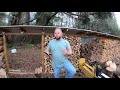 #229 Can you make money selling firewood? Lets talk numbers