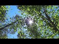 Mindful Moment | Dreamy Summer Sky | Brain Break for Classrooms