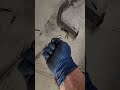 2 Secret Tools For Rusted Exhaust Bolts