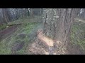 TALL Fir. Husqvarna 2100 CD Savin' The Day!!!