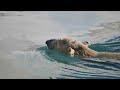Alaska 4K - Scenic Relaxation Film With Calming Music || Scenic Film