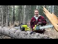 RADLEY/SPORTSMAN CHAINSAW 3 YEAR REVIEW…#Radleychainsaw ,#Sportsmanchainsaw#chainsaw ,#chineseclone