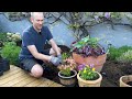 Backyard Transformation | New Floating Deck (DIY) | Perennial Garden