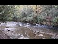 River behind my campsite, Transylvania County, North Carolina