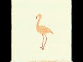 Flamingosis - Flight of the Flamingo (slowed + reverb)