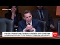 'It's Outrageous': Josh Hawley Grills McKinsey Executive About Their Work With China And The US DOD