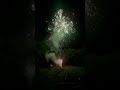 2023 Backyard Fireworks Finale