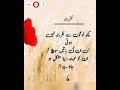 NEW Aqwal e Zareen in urdu 🏵️🌺🌷💐/mix Quotes of LIFE /Islamic Quotes /Best Quotes in urdu