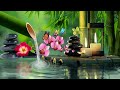 Peaceful Relaxation: Relaxing Sleep Music, Stress Relief Music, Studying Music