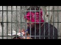 Masicka goes to jail I Wish | Ryan Comedy