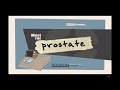 meet the prostate