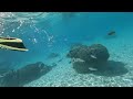 Bora Bora St. Regis Lagoonarium, August 2023