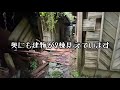 Explore an abandoned village in the mountains [Discover many old abandoned houses],japan