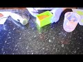 Frankincense & Myrrh CP Soap Making | TEST BATCH | Making Cold Process Soap