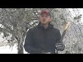 Managing Ice-Storm Damaged Trees