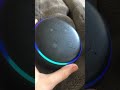 How To automatically   Be connected to your Alexa while in set up mode ￼￼ /Tommymiller-t4x