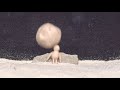 Spiked Ball CRUSHING Clay Figures in 1000fps Slow Motion