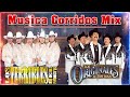 Los Originales De San Juan Y Los Terribles Del Norte 🔥 Musica Corridos Mix