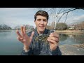 Catch 5X More Bass With THIS Tip! (Pond Fishing 101)