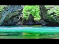 Peaceful River Sounds 8 Hours | Soothing Meditation & Sleep Aid#meditation #nature #sleepmusic #asmr