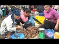Harvesting Sweet Potato Garden goes to the market sell | Lý Thị Ca