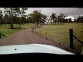 Wet Day on the Farm with Cows and Ducks