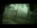 Cedar Rapids Iowa Derecho 2020 - 4k compilation: gusts+deer panics+flood!