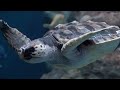 1 Hours Relaxing Music for Stress Relief and Sleep, Underwater world + Stunning Aquarium Relax Music