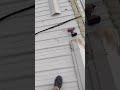 Don't get scammed Roof repair