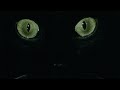 The Black Cat - ASMR/Reading